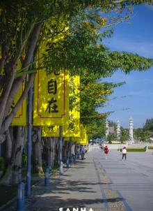 南山文化旅游区14