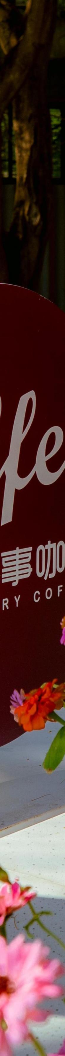 天涯海角12