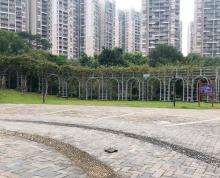 南桥公园5