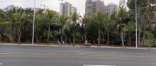 绿塘河国家城市湿地公园4