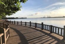 滨湖湿地公园6