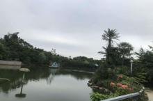 品胜天鹅湖11