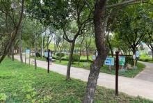 绿塘河湿地公园3