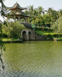 寸金动物园29