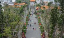 三元塔公园11