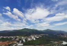 丁颖荔枝森林公园2