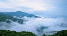 石祖禅茶园16