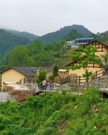 竹山村2