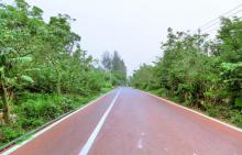 彩色公路2