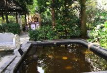 乐天温泉度假村9