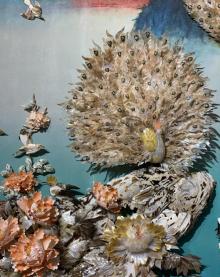 北海贝雕博物馆7