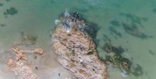 沙扒湾10