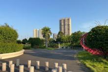 北海市花公园3