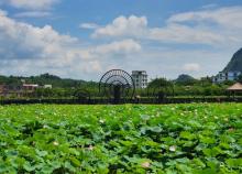 五彩田园景区2