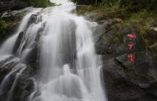 高州仙人洞景区12