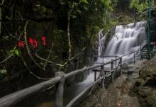 高州仙人洞景区3