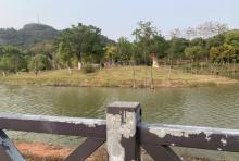 玉林湿地公园1