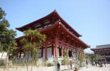 普度寺4