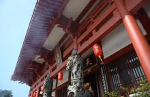普度寺6