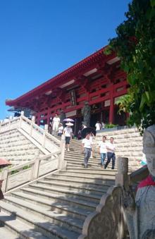 普度寺12