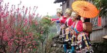 天马山生态旅游区6