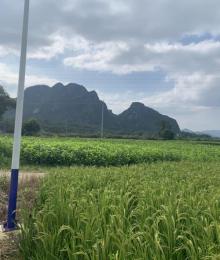 天马山生态旅游区20