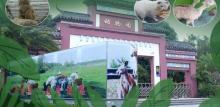 钦州园博园3