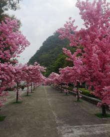 鹿峰山风景区20