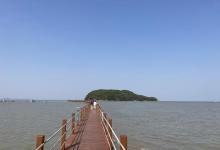 海陵岛红树林国家湿地公园21