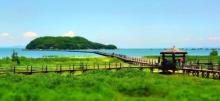 海陵岛红树林国家湿地公园5