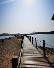 海陵岛红树林国家湿地公园25