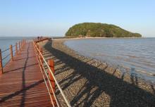 海陵岛红树林国家湿地公园26