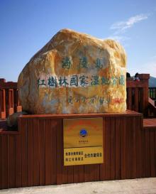 海陵岛红树林国家湿地公园30