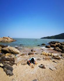 海陵岛红树林国家湿地公园23