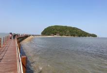 海陵岛红树林国家湿地公园20