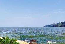海陵岛红树林国家湿地公园11