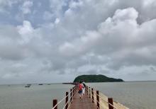 海陵岛红树林国家湿地公园14