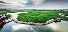 海陵岛红树林国家湿地公园7