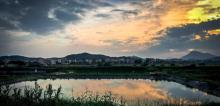 海陵岛红树林国家湿地公园4