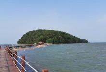海陵岛红树林国家湿地公园8