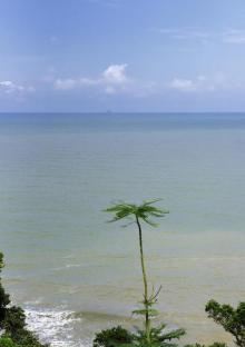 海陵岛红树林国家湿地公园3