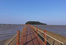 海陵岛红树林国家湿地公园28