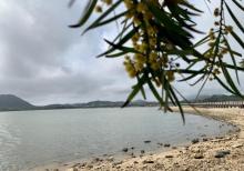 海陵岛红树林国家湿地公园16
