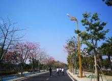 海滩公园8