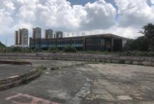 防城港湿地公园5