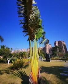 防城港湿地公园6