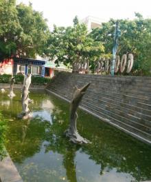 外沙海鲜岛16