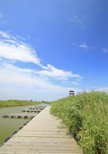 星岛湖4