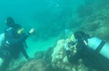 石螺口海滩潜水体验7