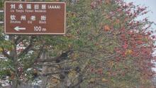 钦州老街景区1